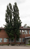 Kankarisveden koulu, Jämsänkoski · Jämsänkosken kouluja 2014 · kuva 11