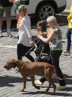 Helsinki Pride -paraati 2015 · kuva 11