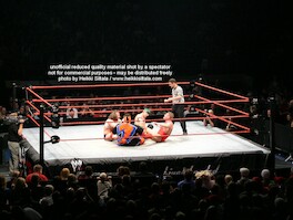 Rosey & Hurricane vs William Regal & Eugene · WWE RAW Live & Loaded · photo 46