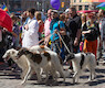 Borzois · Helsinki Pride Parade 2014 · photo 103 Borzois · Helsinki Pride Parade 2014 · photo 103