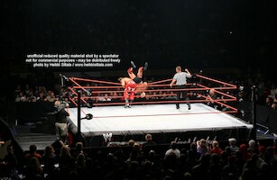 Ric Flair vs Shawn Michaels · WWE RAW Live & Loaded · photo 62