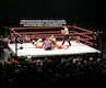 Rosey & Hurricane vs William Regal & Eugene · WWE RAW Live & Loaded · photo 45
