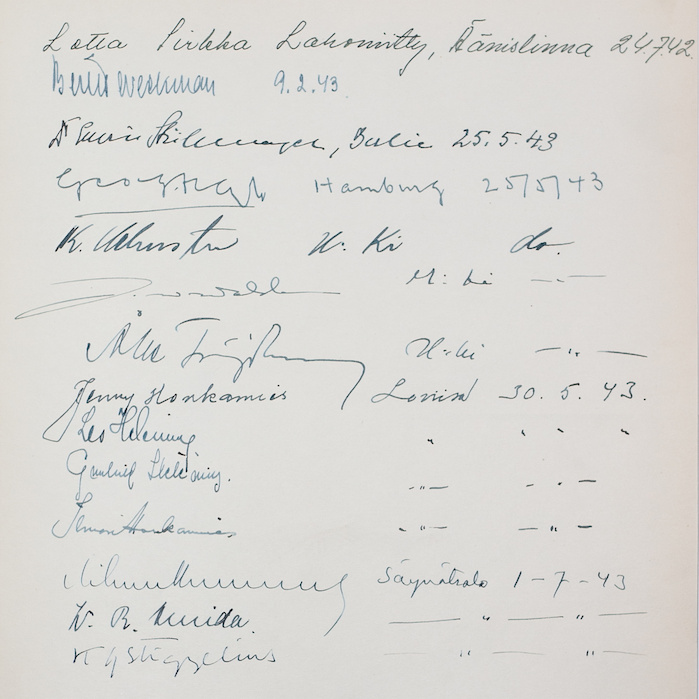 ilveslinna13-700.jpg ilveslinna13-700.jpg