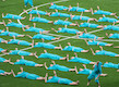 Finland · Gymnaestrada 2015: Large Group Performances · photo 107 Finland · Gymnaestrada 2015: Large Group Performances · photo 107