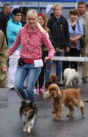 Mega Match Show 2013 · kuva 188 Mega Match Show 2013 · kuva 188