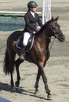 Miljoona Hevonen 2014 Lauantai · photo 185 Miljoona Hevonen 2014 Lauantai · photo 185