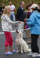 Mega Match Show 2013 · kuva 86 Mega Match Show 2013 · kuva 86