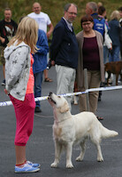 Mega Match Show 2013 · photo 84 Mega Match Show 2013 · photo 84