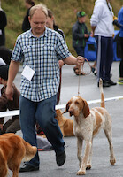 Mega Match Show 2013 · kuva 125 Mega Match Show 2013 · kuva 125