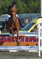 Miljoona Hevonen 2014 Lauantai · kuva 93 Miljoona Hevonen 2014 Lauantai · kuva 93