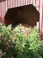Kasa kuivaneita heiniä suuren päärakennuksen navettaosan luona · The old farm · photo 33
