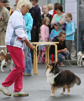 Mega Match Show 2013 · kuva 23 Mega Match Show 2013 · kuva 23