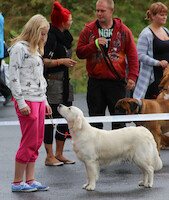 Mega Match Show 2013 · photo 270 Mega Match Show 2013 · photo 270