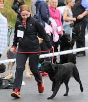 Mega Match Show 2013 · kuva 42 Mega Match Show 2013 · kuva 42