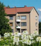 Roukko · Jämsänkoskella kesällä 2013 · kuva 46 Roukko · Jämsänkoskella kesällä 2013 · kuva 46