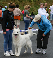 Mega Match Show 2013 · kuva 63 Mega Match Show 2013 · kuva 63