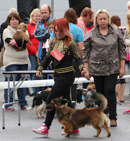 Mega Match Show 2013 · photo 108 Mega Match Show 2013 · photo 108