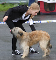 Mega Match Show 2013 · kuva 142 Mega Match Show 2013 · kuva 142