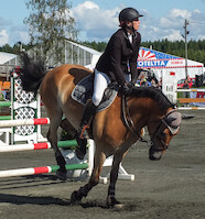 Miljoona Hevonen 2014 Lauantai · photo 72 Miljoona Hevonen 2014 Lauantai · photo 72