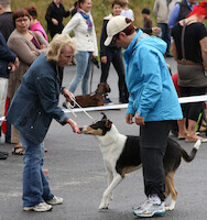 Mega Match Show 2013 · photo 106 Mega Match Show 2013 · photo 106