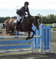 Miljoona Hevonen 2014 Sunnuntai · photo 22 Miljoona Hevonen 2014 Sunnuntai · photo 22