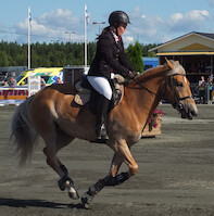 Miljoona Hevonen 2014 Lauantai · kuva 63 Miljoona Hevonen 2014 Lauantai · kuva 63