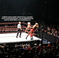 Ric Flair vs Shawn Michaels · WWE RAW Live & Loaded · photo 65