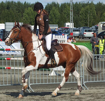 Miljoona Hevonen 2014 Sunnuntai · kuva 80 Miljoona Hevonen 2014 Sunnuntai · kuva 80