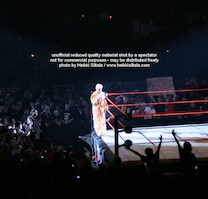 Ric Flair · WWE RAW Live & Loaded · photo 61