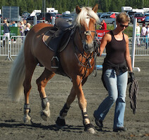 Miljoona Hevonen 2014 Lauantai · kuva 7 Miljoona Hevonen 2014 Lauantai · kuva 7