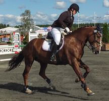 Miljoona Hevonen 2014 Lauantai · kuva 123 Miljoona Hevonen 2014 Lauantai · kuva 123