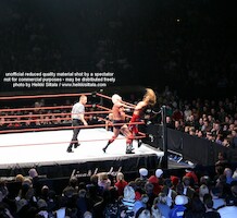 Ric Flair vs Shawn Michaels · WWE RAW Live & Loaded · photo 64