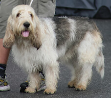 Mega Match Show 2013 · kuva 4 Mega Match Show 2013 · kuva 4