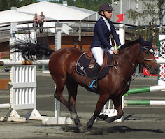 Miljoona Hevonen 2014 Sunnuntai · kuva 125 Miljoona Hevonen 2014 Sunnuntai · kuva 125