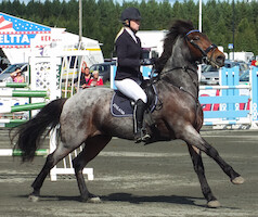 Miljoona Hevonen 2014 Sunnuntai · photo 136 Miljoona Hevonen 2014 Sunnuntai · photo 136