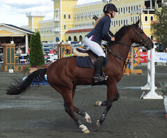 Miljoona Hevonen 2014 Sunnuntai · kuva 174 Miljoona Hevonen 2014 Sunnuntai · kuva 174