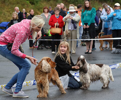 Mega Match Show 2013 · photo 204 Mega Match Show 2013 · photo 204