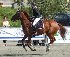 Miljoona Hevonen 2014 Lauantai · kuva 190 Miljoona Hevonen 2014 Lauantai · kuva 190