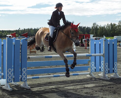 Miljoona Hevonen 2014 Sunnuntai · kuva 33 Miljoona Hevonen 2014 Sunnuntai · kuva 33