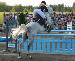 Miljoona Hevonen 2014 Sunnuntai · kuva 255 Miljoona Hevonen 2014 Sunnuntai · kuva 255