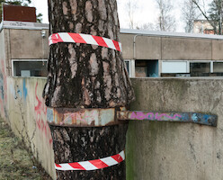 Kotkansiiven muuriin kiinnitetty puu · Roihuvuori primary school 2014 · photo 34