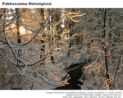 Winter morning · A selection of artistic photos · photo 49