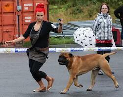 Mega Match Show 2013 · kuva 252 Mega Match Show 2013 · kuva 252