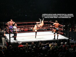 Batista & Triple H vs Chris Benoit & Randy Orton · WWE RAW Live & Loaded · kuva 92