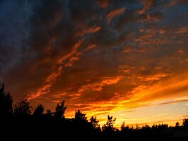 The sunset · Kuvia Nytech ND-4020 -kameralla · kuva 8