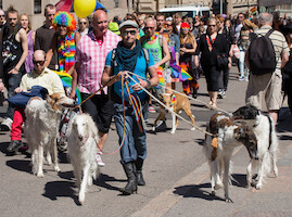 Venäjänvinttikoiria · Helsinki Pride -paraati 2014 · kuva 78