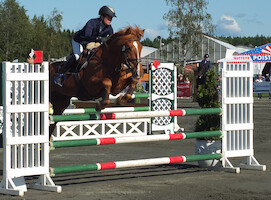 Miljoona Hevonen 2014 Lauantai · photo 27 Miljoona Hevonen 2014 Lauantai · photo 27