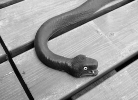 Rubber snake · Nytech ND-4020 photos · photo 17