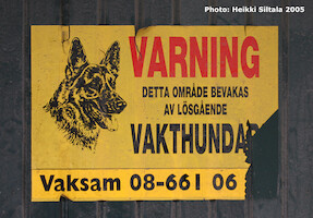 Vahtikoiria · Helsinki - Tukholma - Helsinki 2005 · kuva 69