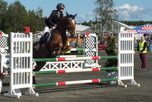 Miljoona Hevonen 2014 Lauantai · kuva 38 Miljoona Hevonen 2014 Lauantai · kuva 38